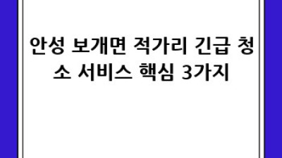 안성 보개면 적가리 긴급 청소 서비스! 망설이지 마세요!
