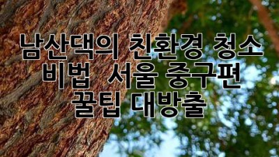 남산댁의 친환경 청소 비법 🌿 서울 중구편: 꿀팁 대방출!